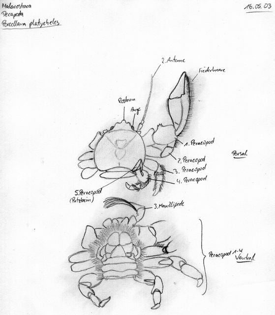 Bild 53
